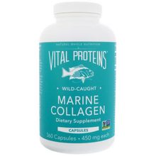 Vital Proteins, Marine Collagen, Wild Caught, 450 mg, 360 Capsules